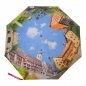 Preview: Taschenschirm mit Forchheim Fotos